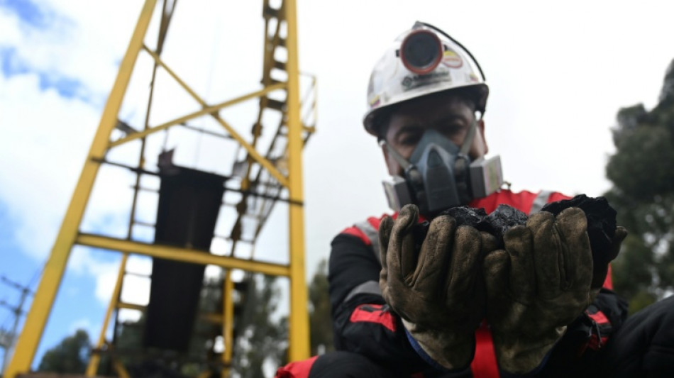 Exportaci&oacute;n de carb&oacute;n en Colombia se desploma mientras Petro proh&iacute;be vender a Israel