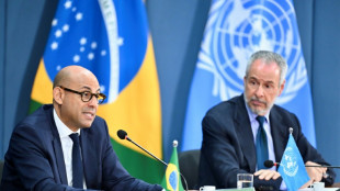 Luta contra a mudança climática é do interesse dos países, diz ONU