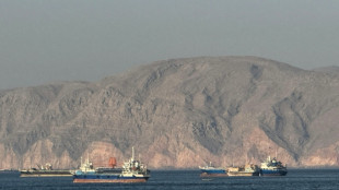 Le trafic de p&eacute;troliers dans le d&eacute;troit d'Ormuz remonte