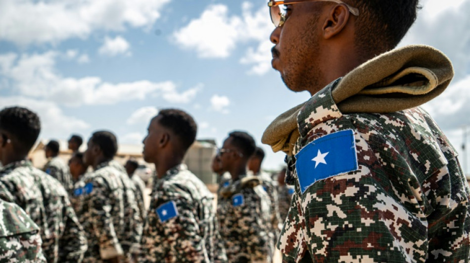 Somalia air strikes, combat kill dozens of jihadists: govt