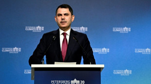 Renewables key to buffer fossil fuel energy shock: COP31 co-hosts