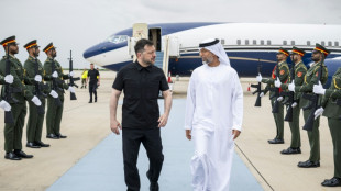 Zelensky agrees air defence cooperation with UAE, Qatar on Gulf tour