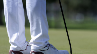 Trump, 'il G20 sarà ospitato nel mio resort'