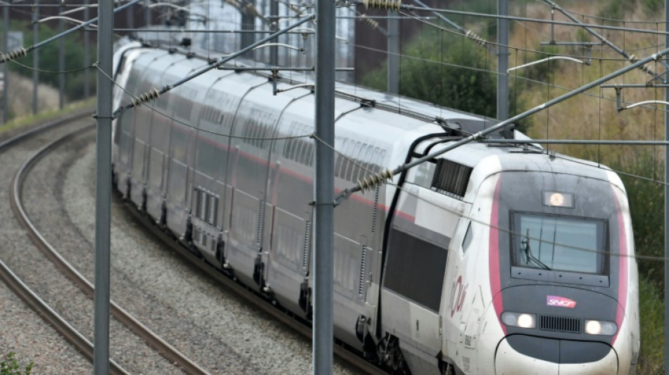 Gewerkschaften rufen zu Bahn-Streiks in Frankreich auf