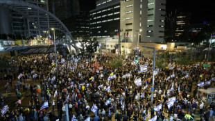 Gaza: le Hamas publie une vidéo d'un otage, 11 morts dans un raid israélien