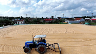 El crecimiento económico de China se desaceleró en el 3T, según un sondeo de la AFP
