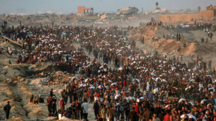 Trump envoy to visit Gaza as pressure mounts on Israel