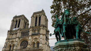 Emotion &agrave; son comble &agrave; Notre-Dame de Paris au retentissement des cloches