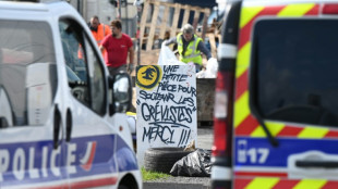 Vertbaudet: le piquet de gr&egrave;ve &eacute;vacu&eacute; par la police