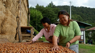 Bhutan business bets on hazelnuts for farming future