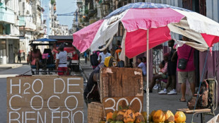 Cuba abre com&eacute;rcio de produtos agr&iacute;colas ao setor privado