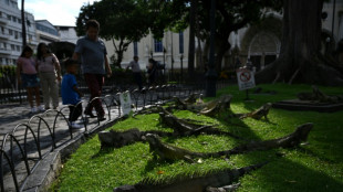 En Equateur, criminalité, chômage et petites retraites