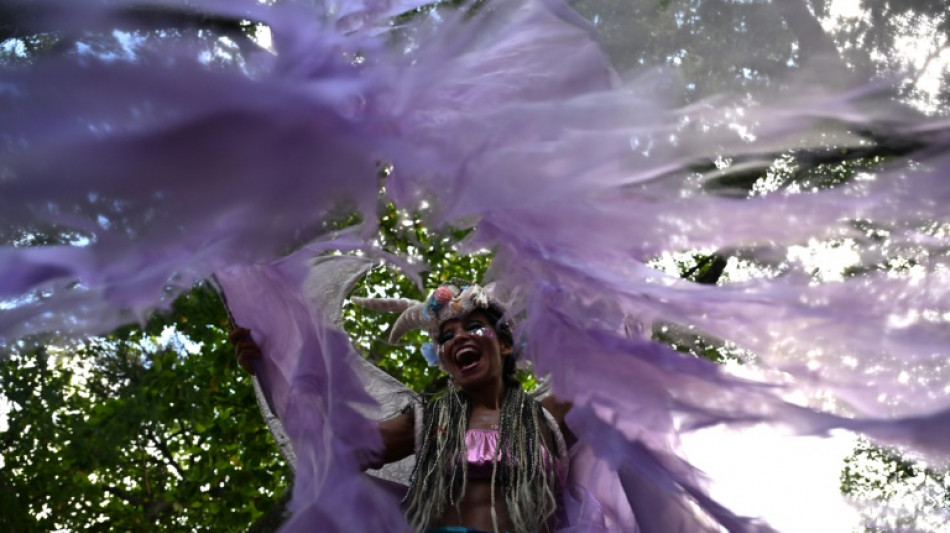 Confira cinco pontos sobre o carnaval do Rio
