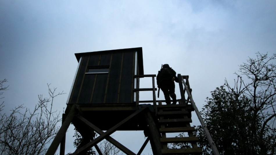 Dutzende Hochsitze in Sachsen zerst&ouml;rt: Razzia bei militanten Tiersch&uuml;tzern