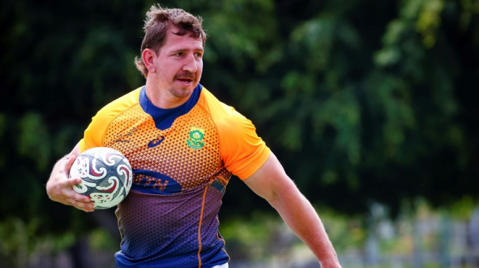 Concussed Springbok Wiese replaced by Smith for France Test