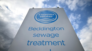 Multa récord para el distribuidor de agua británico Thames Water por polución