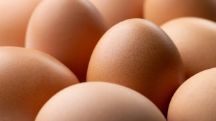 Lay off our eggs market, French producers tell Ukraine