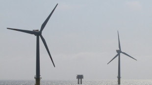 Energieverbrauch im zweiten Quartal weniger stark gestiegen