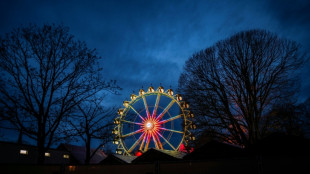 Alemania dice que impidió un plan islamista de atacar un mercado navideño