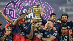 IPL champions Bengaluru could be sold for 'as much as $2 billion'