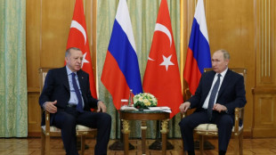 Putin spricht sich f&uuml;r st&auml;rkere wirtschaftliche Zusammenarbeit mit der T&uuml;rkei aus