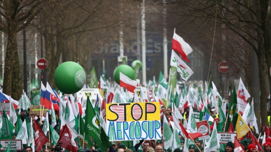 Parlamento Europeu remete &agrave; justi&ccedil;a o acordo comercial com Mercosul