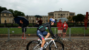 Roglic abandons Giro d'Italia after latest crash