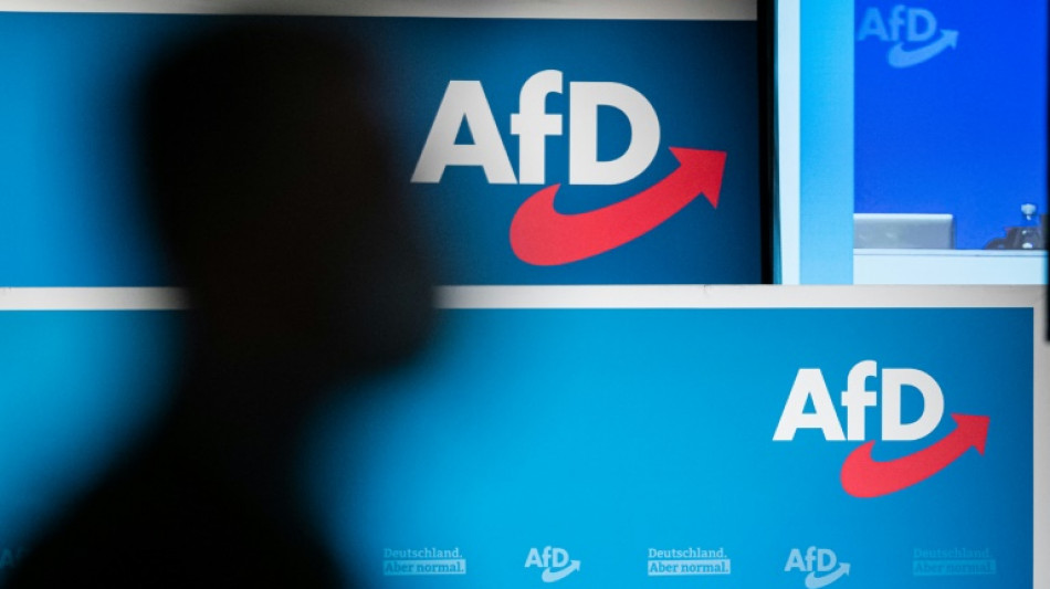 Brandenburg stuft AfD-Nachwuchs Junge Alternative als rechtsextremistisch ein