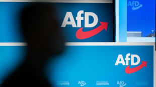 Brandenburg stuft AfD-Nachwuchs Junge Alternative als rechtsextremistisch ein