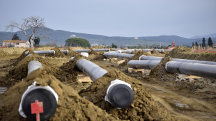 Il gas chiude in modesta crescita a 72,7 euro