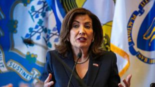 New York state to build nuclear power plant 