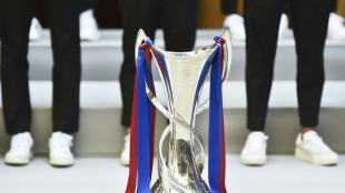 Pol&iacute;cia portuguesa recupera trof&eacute;u da Champions feminina, roubado em Lisboa