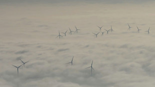 Acc&eacute;l&eacute;ration des &eacute;nergies renouvelables: accueil mitig&eacute; pour le projet de loi