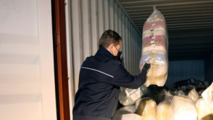 Porto da Antu&eacute;rpia apreendeu recorde de 116 toneladas de coca em 2023