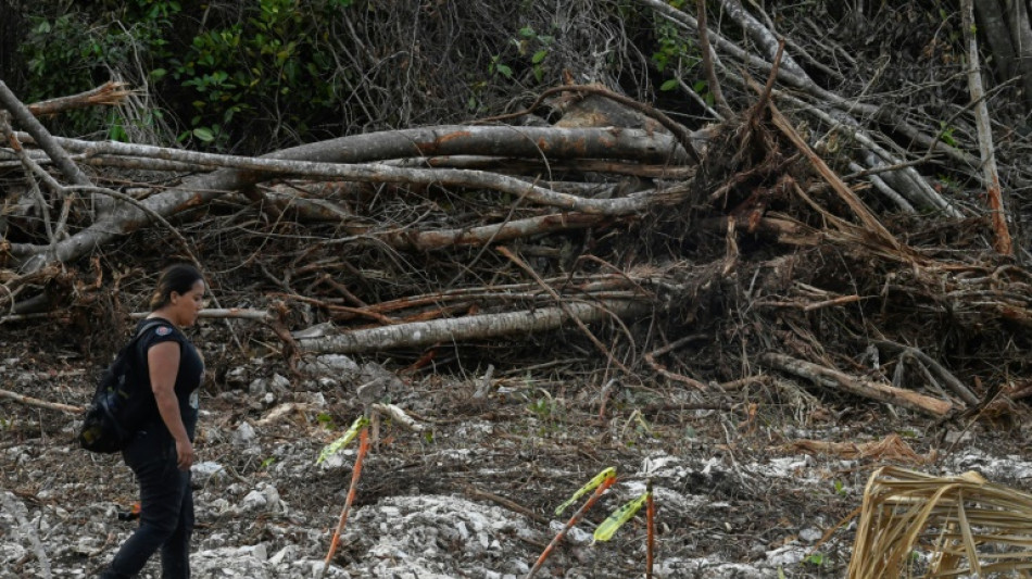 "Es un suicidio": el Tren Maya mexicano tropieza con un tesoro de la naturaleza