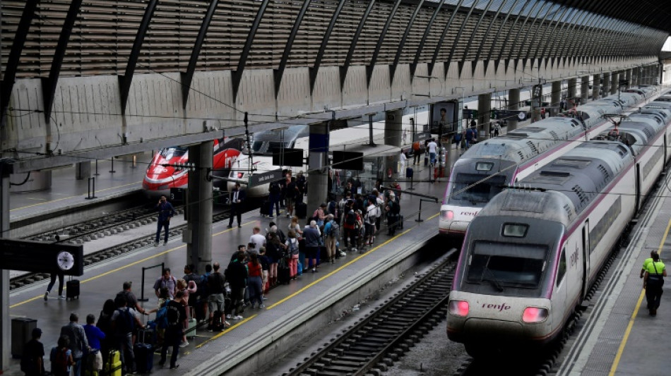 Spain starts probing causes of massive blackout