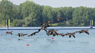 Parigi: canottaggio, Italia quarta nel 4 senza
