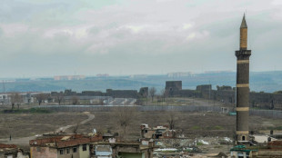 Turquie : 30.000 plants de marijuana détruits sur un site classé par l'Unesco