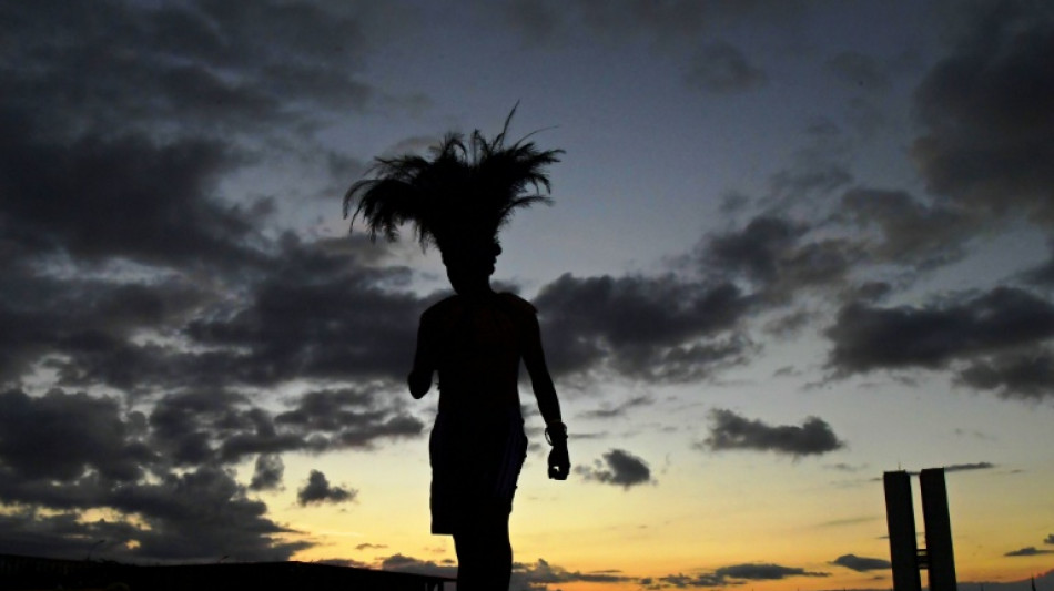 Zollbeamte entdecken Kopfschmuck aus artgeschützten Papageienfedern in Paket