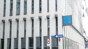 Emirados &Aacute;rabes Unidos deixar&atilde;o Opep em maio para proteger 'interesse nacional'