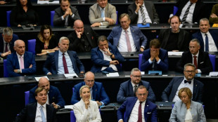 Widerstand aus Union gegen Forderung von Rhein nach Ausschussposten f&uuml;r AfD