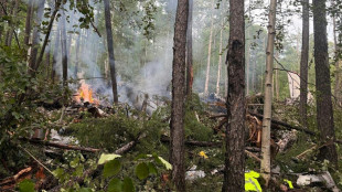 Fast 50 Tote bei Flugzeugabsturz im Osten Russlands