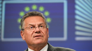 EU-Handelskommissar: Aufschub chinesischer Exportkontrollen gilt auch für EU