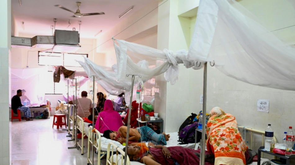 Le Bangladesh frapp&eacute; par sa pire &eacute;pid&eacute;mie de dengue, avec plus de 1.000 morts cette ann&eacute;e