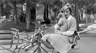 Nicole Croisille, Madame "dabadabada"