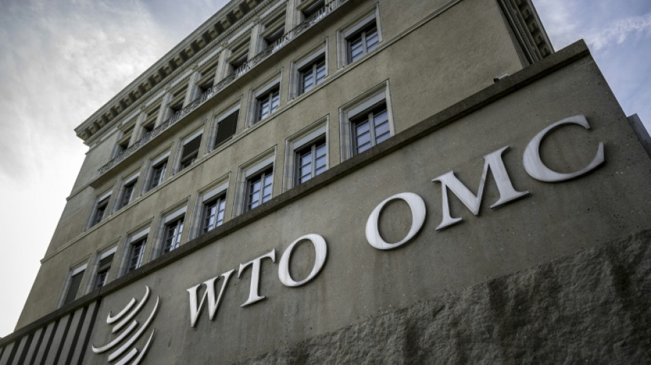 Brazil seeks WTO relief against Trump tariffs