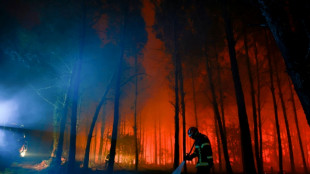 L'incendie dans les Landes a grimp&eacute; &agrave; 1.100 hectares, pas d'habitation touch&eacute;e