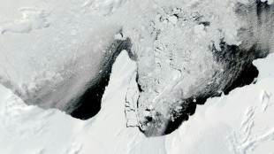 Un iceberg gigante de 39 años se derrite frente a la Antártida