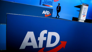 AfD plant Bundesparteitag in Erfurt - Innenminister: Signal f&uuml;r St&auml;rke H&ouml;ckes