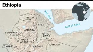 Ethiopie: s&eacute;rie de tremblements de terre, &eacute;vacuation d'habitants en cours